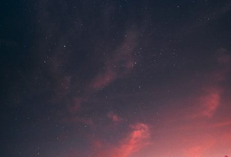 Flower aesthetics in 2024 | Pretty landscapes, Nature pictures, Landscape wallpaper