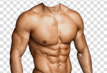 Free download | PicsArt Studio Android Rectus abdominis muscle, android transparent background PNG clipart