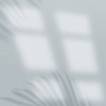 Light Through Stair And Palm Leaves Shadow Background Wallpaper Image For Free Download - Pngtree