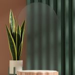 Premium Photo | 3d rendering image illustration of empty space podium display for product mockup natural background