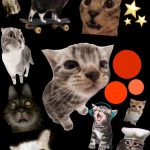 Silly car wallpaper >.