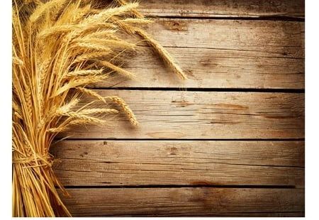 Tantouec Banner Backdrop, Cloth Cloth Shooting Imitation 3D Background Wood Grain Background Photography Home Decor, Backdrop, Size:One size, Multicolor