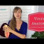 Vulva Anatomy - A Guide To Your Private Parts