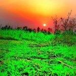 butiful sintry