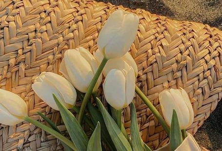 iphone wallpapered simple vintage christmas aesthetic