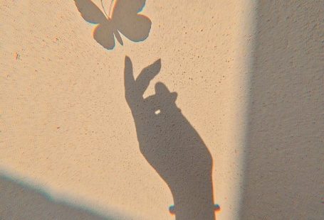 photography photography aesthetic photography wallpaper photography girl photographie aesthetic phot