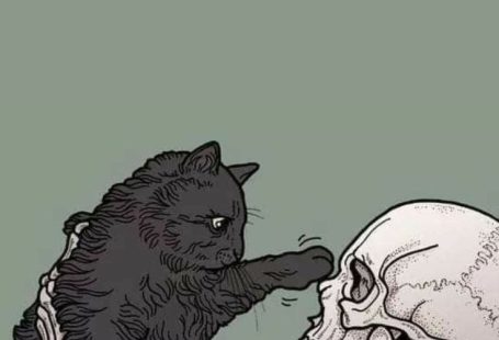 wallpaper | wallpaper iphone | wallpaper aesthetic | wallpapers | wallpaper backgrounds |