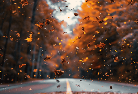 40+ Stunning And Dreamy Fall Phone Wallpapers
