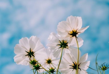 Alimentos da primavera: as frutas, legumes e verduras mais frescas agora