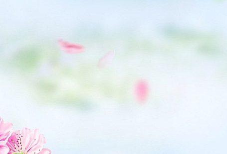 Free  Art, Romantic, Flowers Background Images, Fresh Flowers H5 Background Photo Background PNG and Vectors