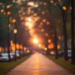 🔥Free Bokeh Effect Light Blur Road Park Light Editing Background HD | PsBackground