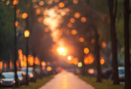 🔥Free Bokeh Effect Light Blur Road Park Light Editing Background HD | PsBackground