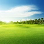 Free  Sky, Land, Golf Background Images, Landscape Meadow Grass Field Background Photo Background PNG and Vectors