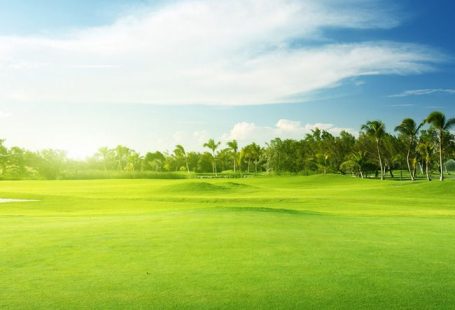 Free  Sky, Land, Golf Background Images, Landscape Meadow Grass Field Background Photo Background PNG and Vectors