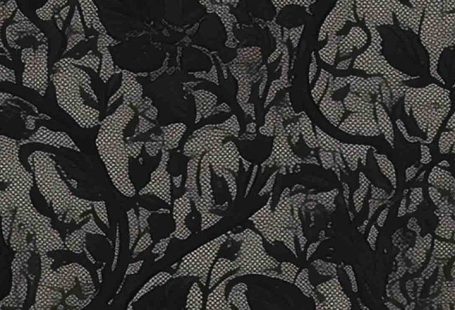 Gothic Lace Aesthetic Wallpaper