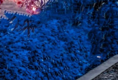 Picsart background PNG