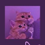 Purple Wallpapers and Backgrounds 2022