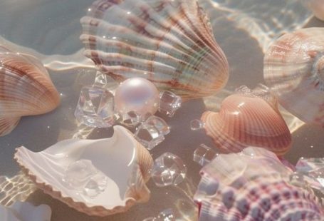 Seashells ~ iPhone Wallpaper