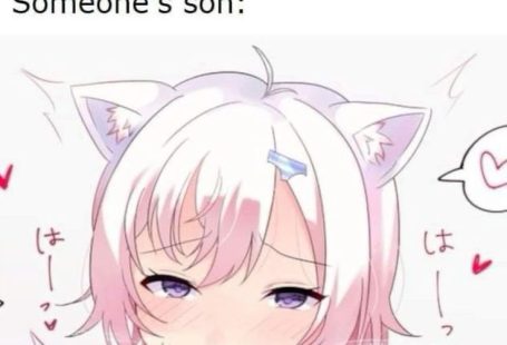 (notitle)