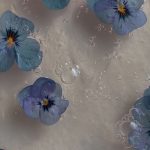 30+ Amazing Aesthetic Wallpapers That You Can't Miss | Artist Hue