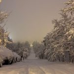 50+ Christmas Wallpaper Backgrounds That You Have To See Today! | Artist Hue