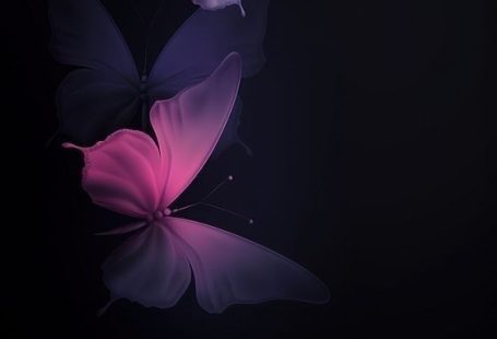 (notitle)