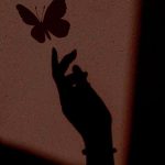 Black Aesthetic Wallpapers | Download Free Black Wallpapers 2023