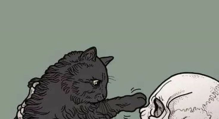 Halloween Wallpaper for iPhone | Spooky wallpaper | Halloween screensaver