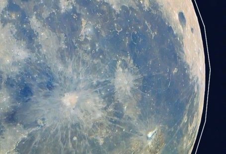 wallpaper(flowers) | Wallpaper iphone cute, Cute patterns wallpaper, Cute animals, Animal ,easter