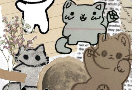 (notitle)