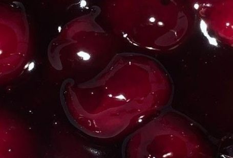 (notitle)