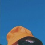 Cool cat 🐾🐱 | Retro wallpaper iphone, Edgy wallpaper, Iphone wallpaper vintage | Gato estético, Gato bonito, Empapelado de gato