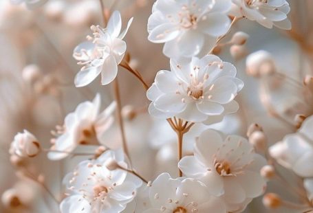 100+ Spring Phone Wallpapers With Seasonal Vibes