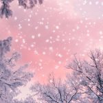 12+ Cute Girly iPhone Wallpapers for 2025(Free 4K HD Download)