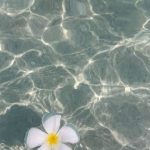 (notitle)